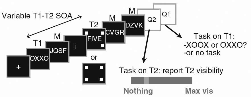 Experimental protocol example