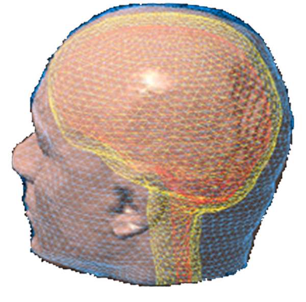 MEG/EEG head modeling: Tessellated surface envelopes of head tissues 