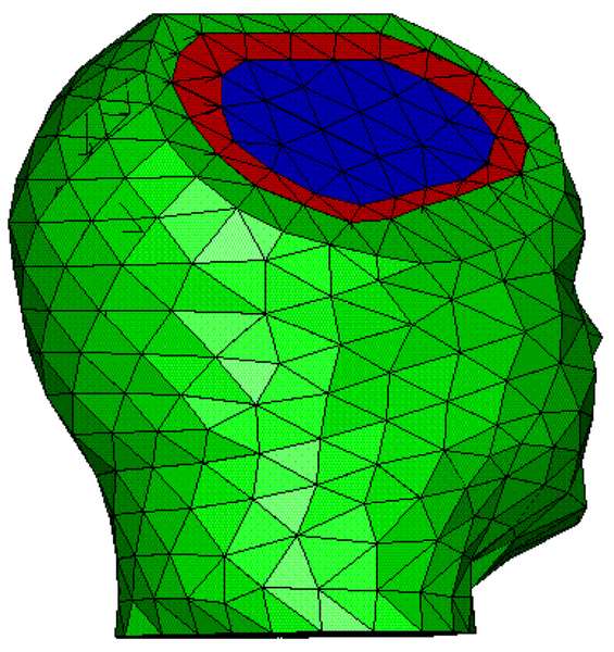 MEG/EEG head modeling: volume meshes built from tetrahedra