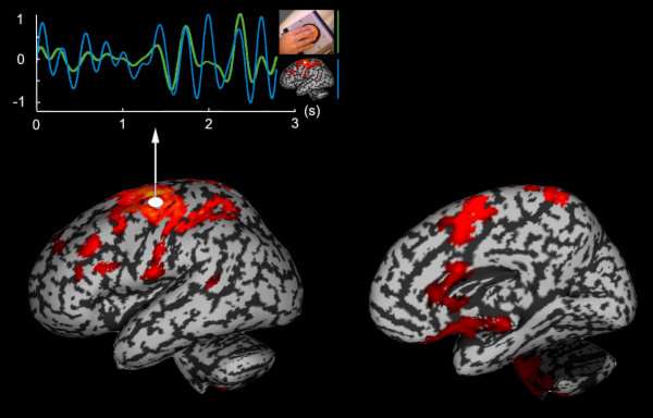 cortical functional network involved in hand movement coordination at low frequency (4Hz)