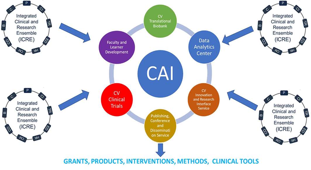 Cardiovascular Academic Initiative Diagram