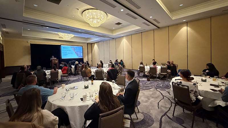 Attendees at a conference