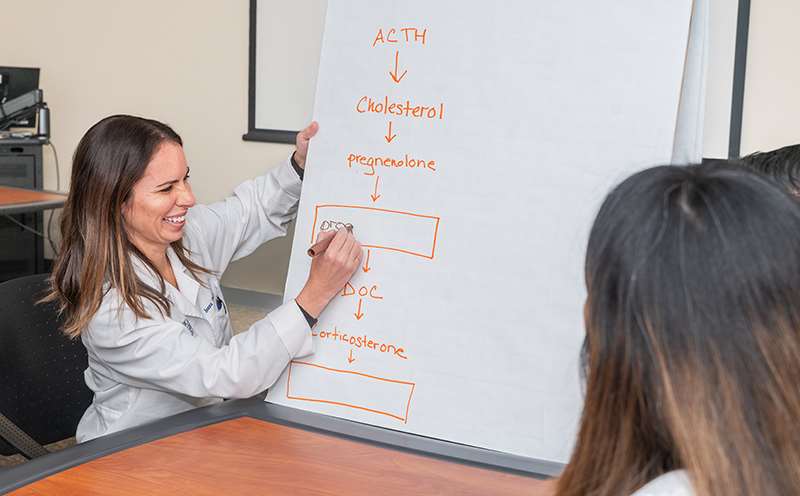 Woman writing on white board
