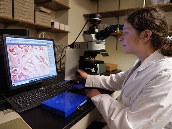 Rachel Jackson performing experiment in Dr. Carol Everson lab