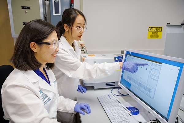 Researchers in MCW Endocrinology and Molecular Metabolism