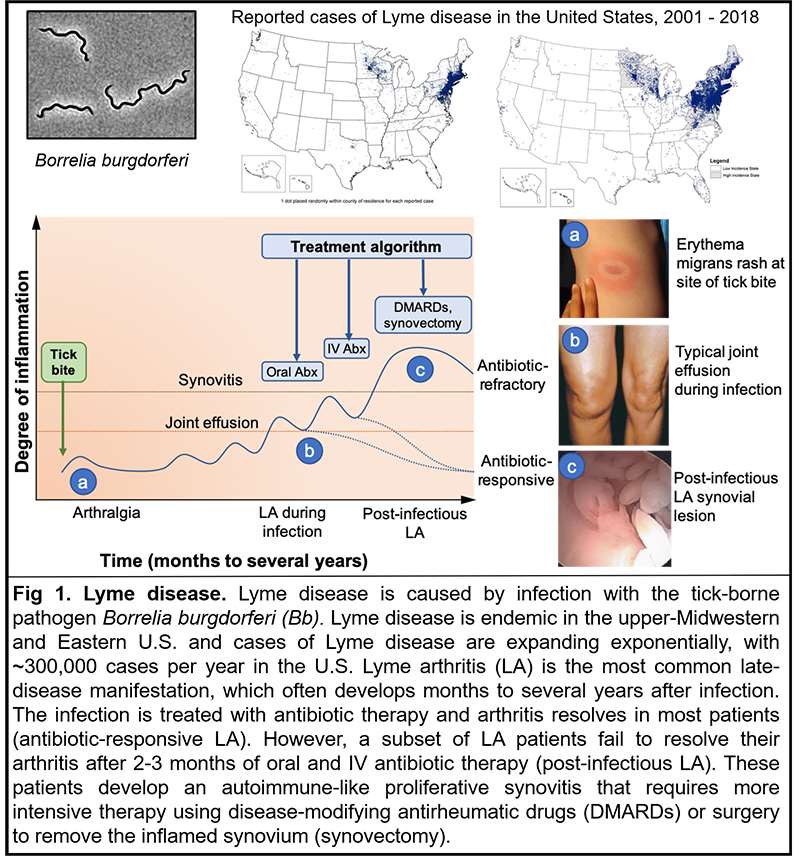 Lochhead Research_Figure 1