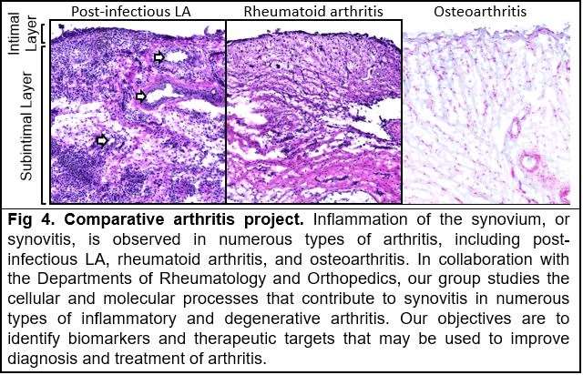 Lochhead Research_Figure 4