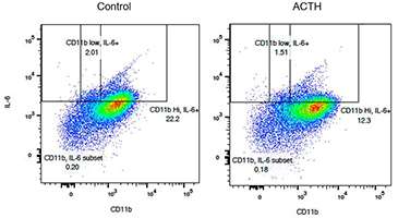 Oral ACTH Figure 3