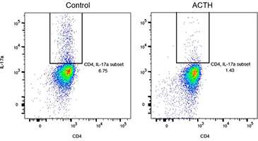 Oral ACTH Figure 4