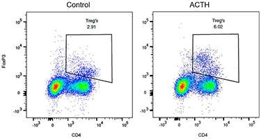 Oral ACTH Figure 5