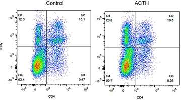 Oral ACTH Figure 6