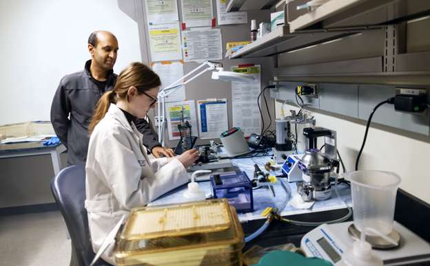 Dr. Kunal Gupta and researcher working in lab.