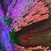 Close-up Computer Generated Image of Brain Structure created by the Meier Lab