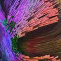 Close-up Computer Generated Image of Brain Structure created by the Meier Lab