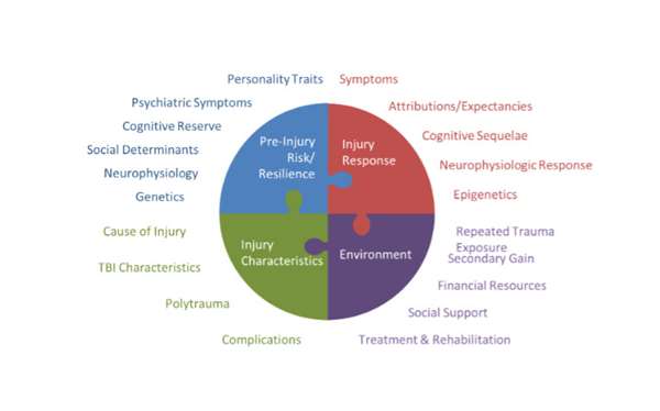 Factors affecting TBI outcome: pre-injury risk/resilience, injury response, injury characteristics, environment