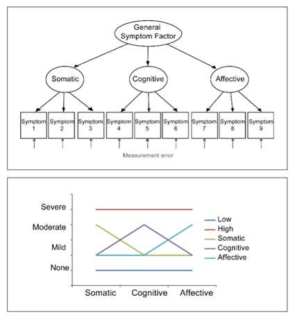 Two variable modeling strategies for traumatic brain injury designating somatic, cognitive and affective variables