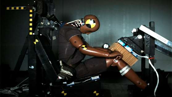 spine biomechanics-intro component