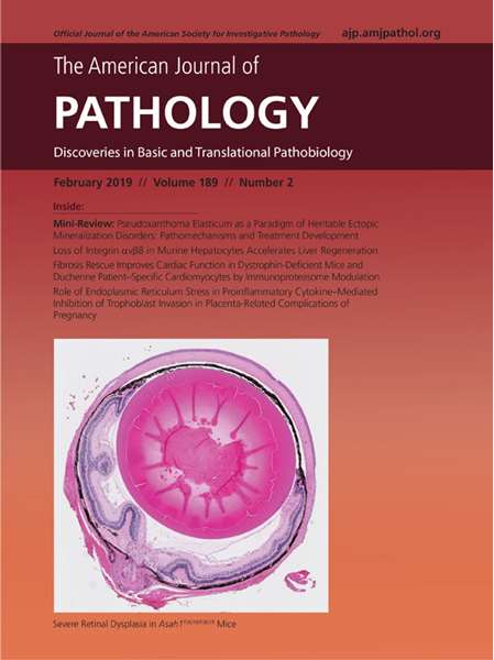 American Journal of Pathology Book Cover