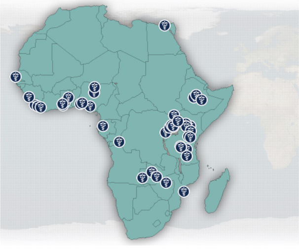 MCW Office of Global Health Efforts in Africa