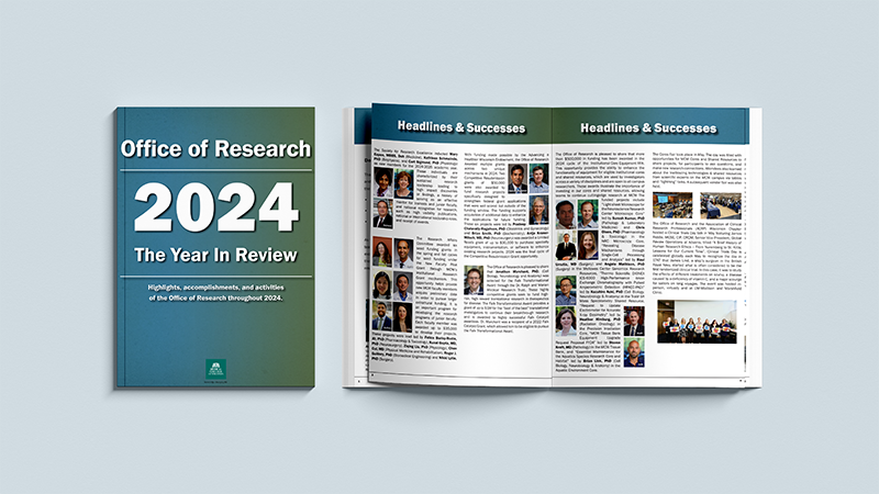 2024 Year in Review Spread