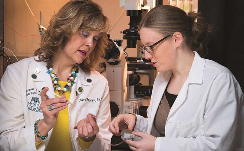 Cheryl Stucky Working with Female Researcher in Lab Picture