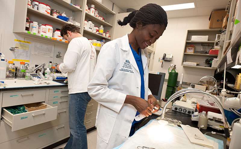 Diverse Students Conducting Research in Wet Lab Picture Diverse Students Conducting Research in Wet Lab Picture