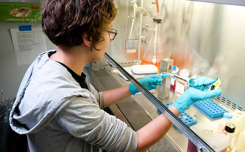 Female Scientist Working at Lab Bench Picture