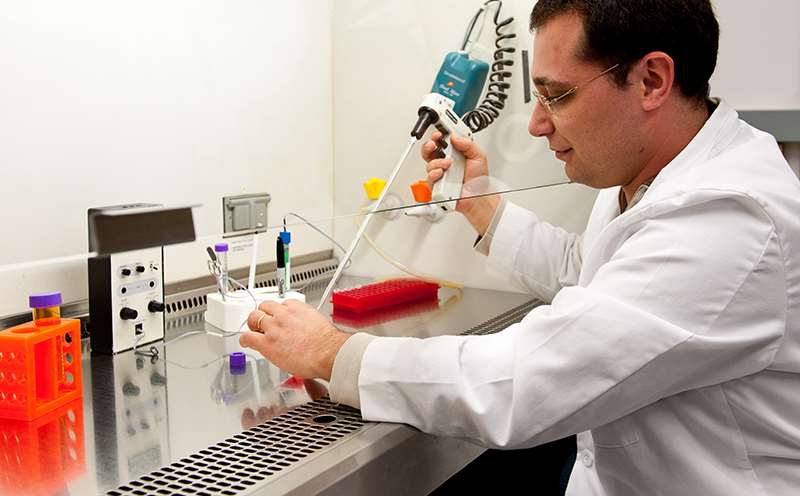 Male Researcher Working Under Hood Picture Available Technologies