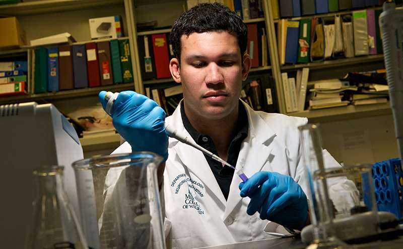 Male Researcher Working at Bench with Gloves Picture