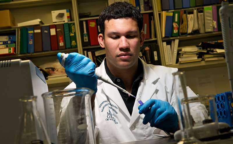 Male Researcher Working at Bench with Gloves Picture Male Researcher Working at Bench with Gloves Picture
