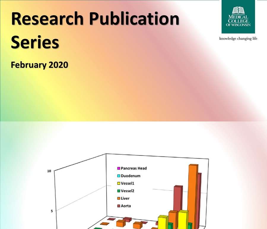 Research Publication Series February 2020 Cover Image