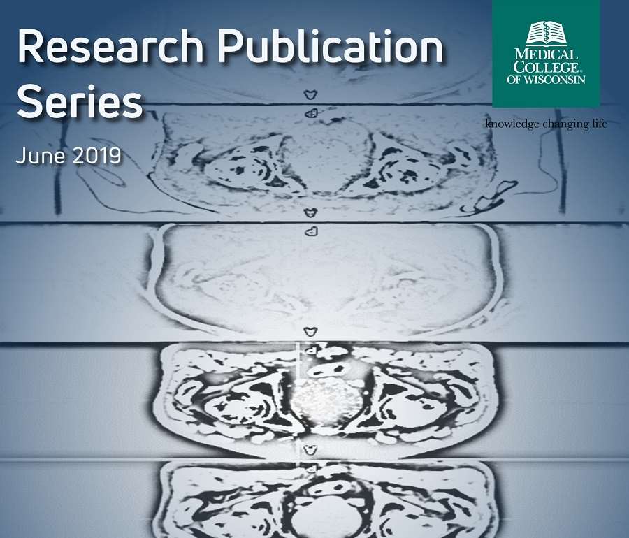 Research Publication Series June 2019 Cover Image