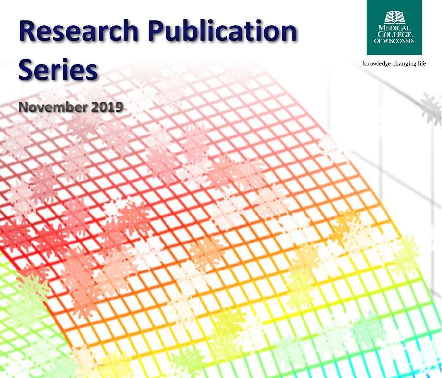 Research Publication Series November 2019 Cover Image