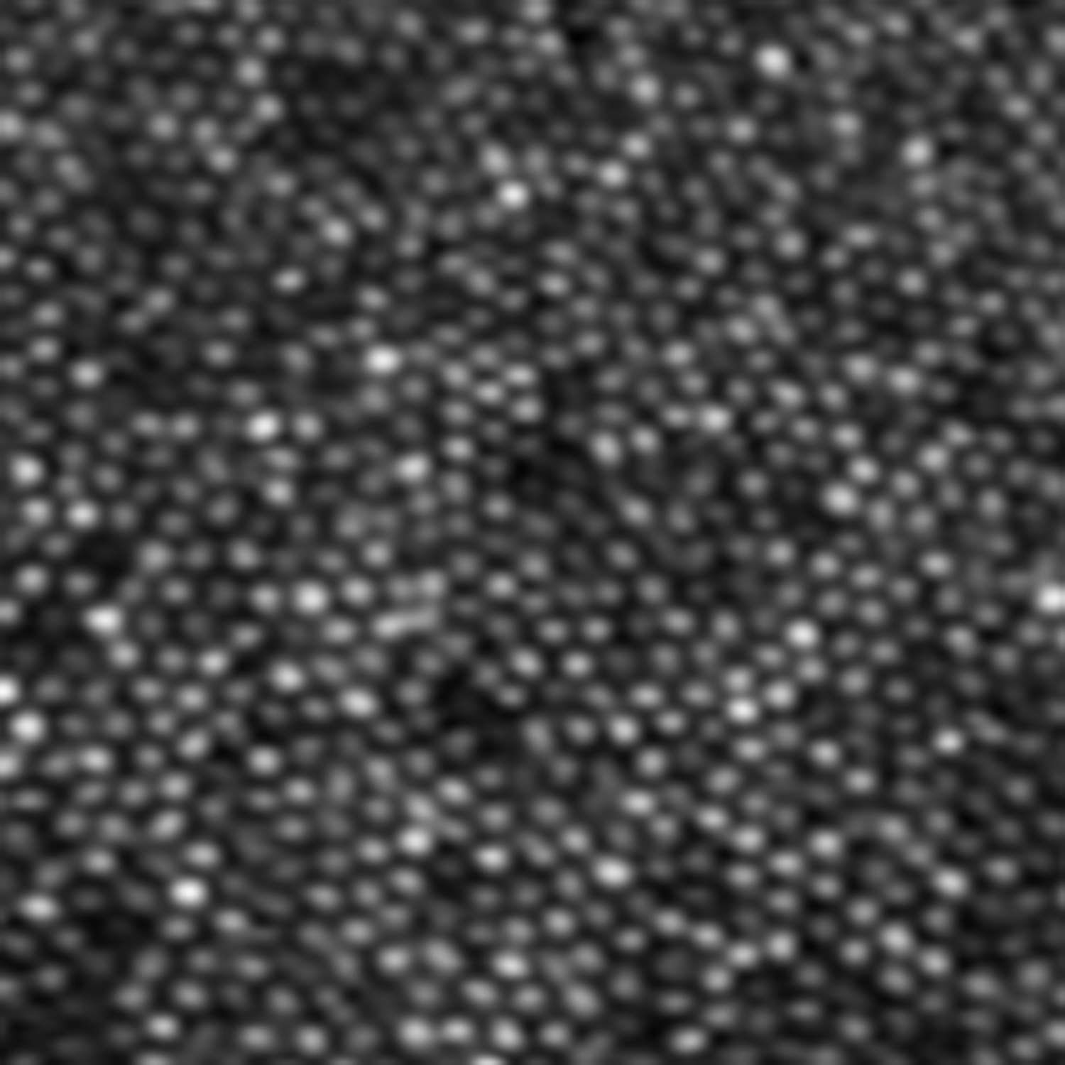 Translational Engineering, Computing & Imaging