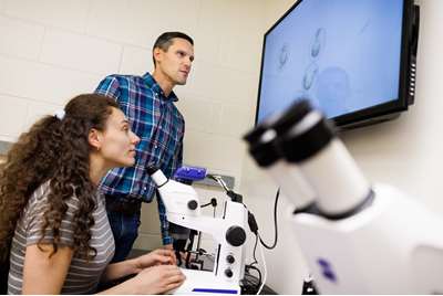 Miesfeld Lab