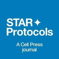 STAR Protocols logo