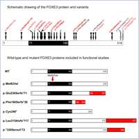 2021_Comprehensive phenotypic