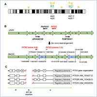 2024_Complex Balanced Intrachromosomal rearrangement