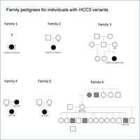 2024_Novel Intragenic and Genomic Varients