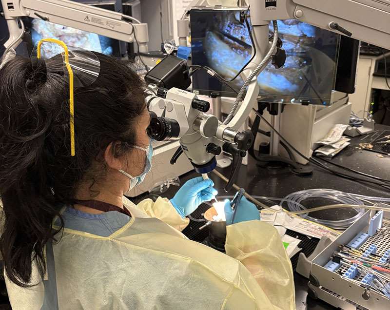 Jan 2026 PGY3 TB Course.