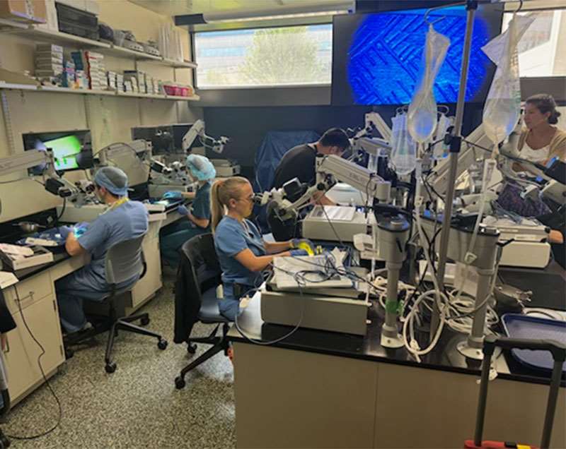 Students in the TB Lab.