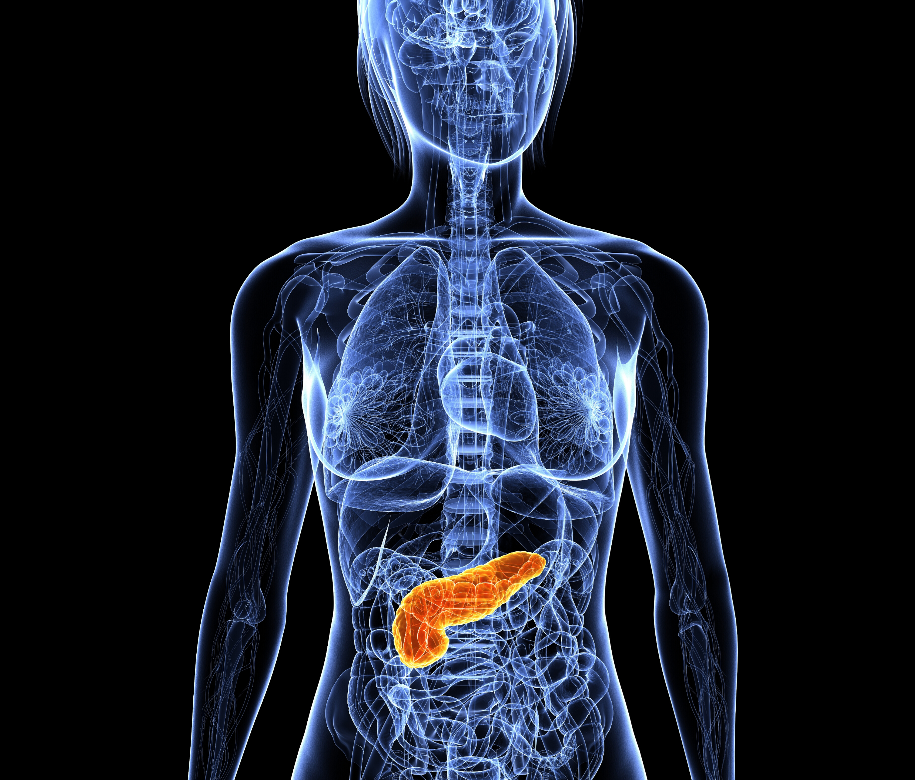 Dark Pancreas_Bar Content List Component