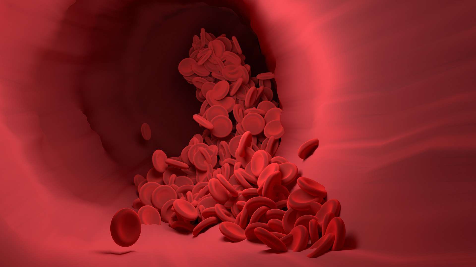 red blood cell