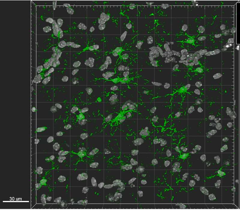 Olsen Lab Image 2