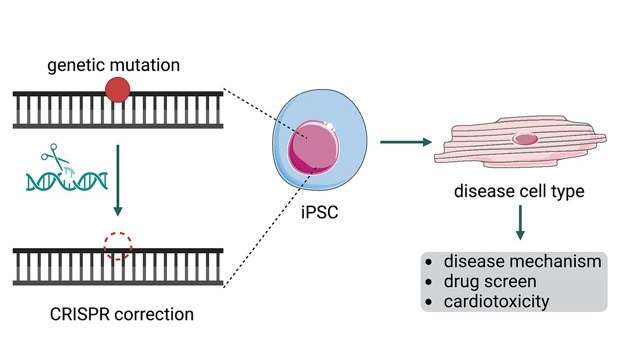 genetic mutation_Liu Lab Image