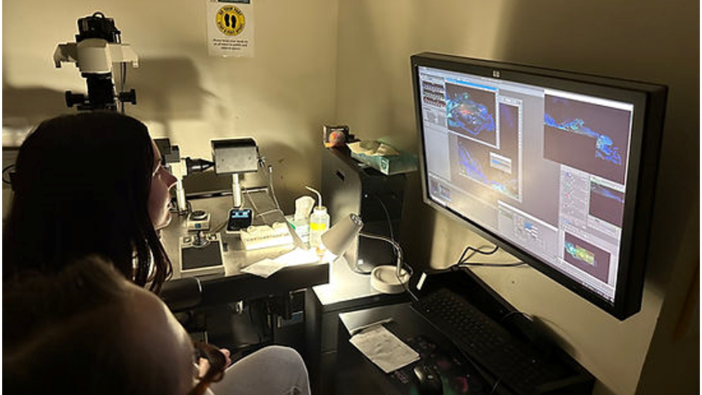 girl at computer_mouradian lab image text split