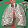 respiratoryphysiology