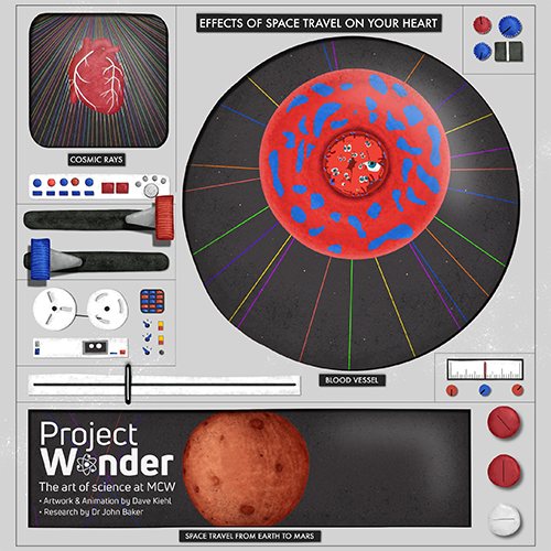 Still frame graphic of "Space Travel and Heart Health" project