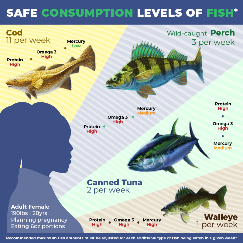 Fish consumption adult female thumbnail