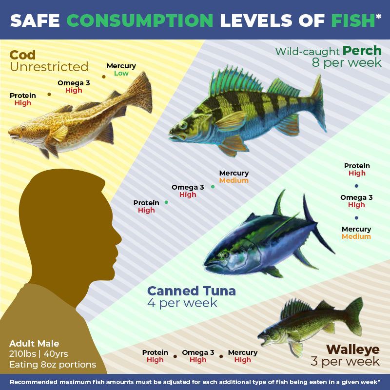 Fish consumption adult male thumbnail